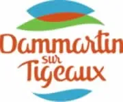enlevement epave gratuit Dammartin-sur-Tigeaux (77163)