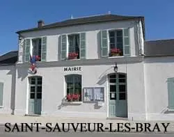 enlevement epave gratuit Saint-Sauveur-lès-Bray (77480)