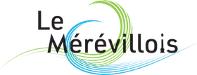 enlevement epave gratuit Le Mérévillois (91660)