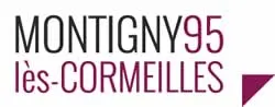 enlevement epave gratuit Montigny-lès-Cormeilles (95370)