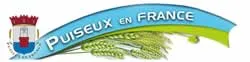 enlevement epave gratuit Puiseux-en-France (95380)